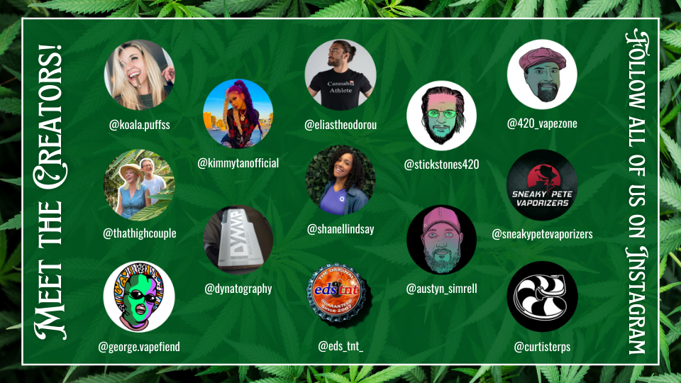 All of the creators who are featured in the stoner gift guide.
