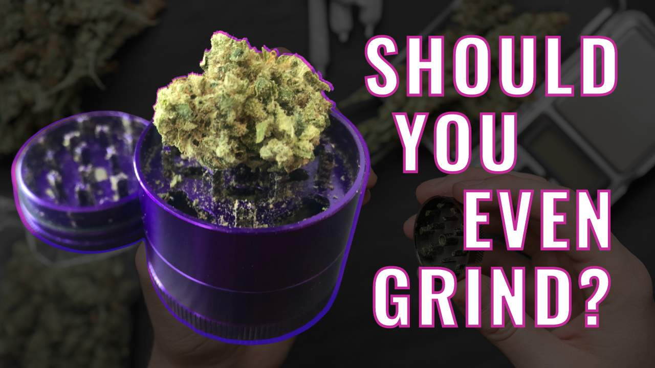 Are Weed Grinders ESSENTIAL? // Should You Even Grind?