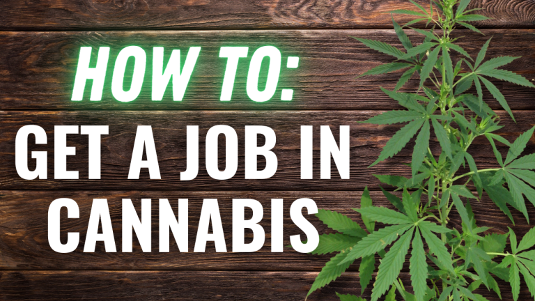 How To Find Work in Cannabis Industry