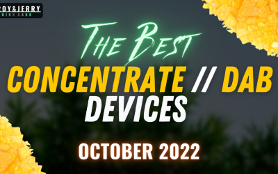 Best Portable Dab Rigs October 2022