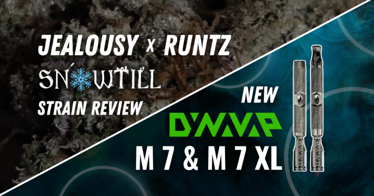 New DynaVap M 7 and M 7 XL First Impressions with Fire from Snowtill!